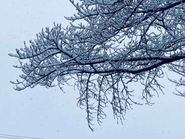 202201雪01mini.JPG