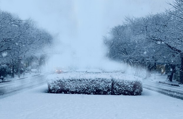 202201雪02mini.JPG