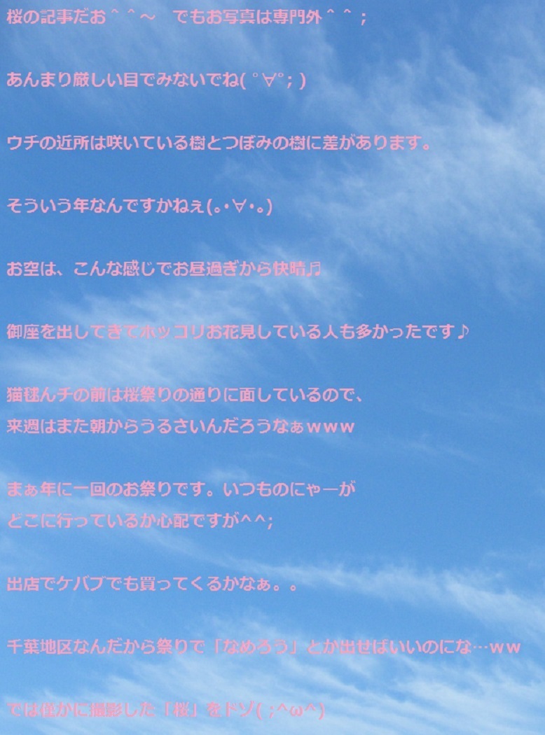 222記事DSCF9553.jpg