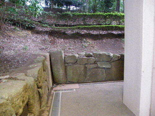 DSCF9401.JPG