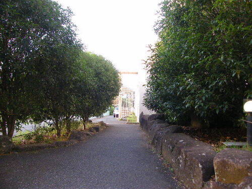 DSCF9407.JPG