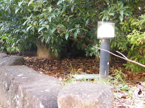 DSCF9408.JPG