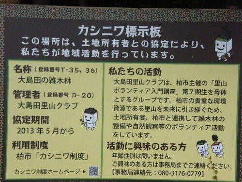 DSCF9418.JPG