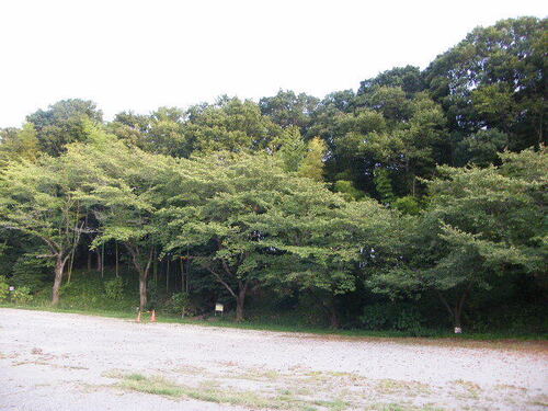 DSCF9420.JPG