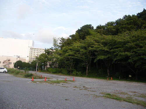 DSCF9421.JPG