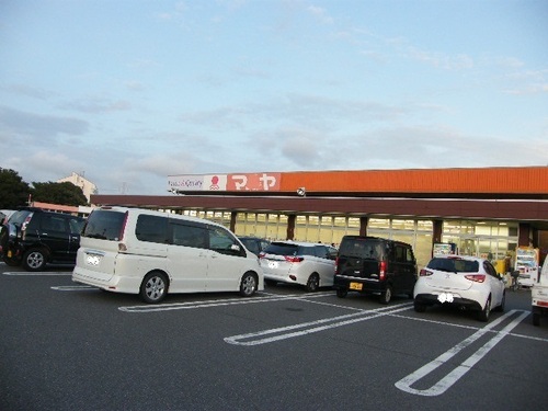 DSCF9423 - コピー.JPG