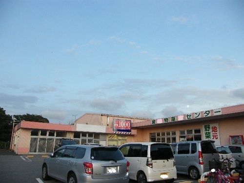 DSCF9424 - コピー.JPG