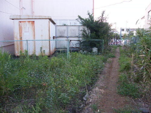 DSCF9426.JPG