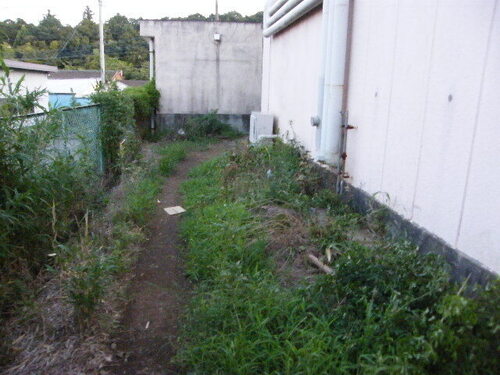 DSCF9427.JPG