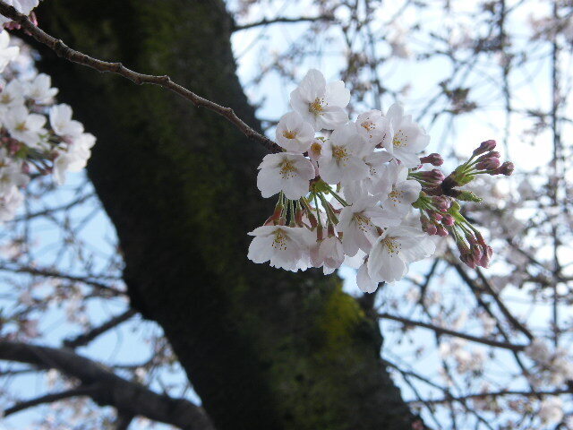 DSCF9542.JPG