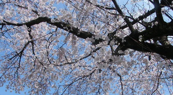 DSCF99544.jpg