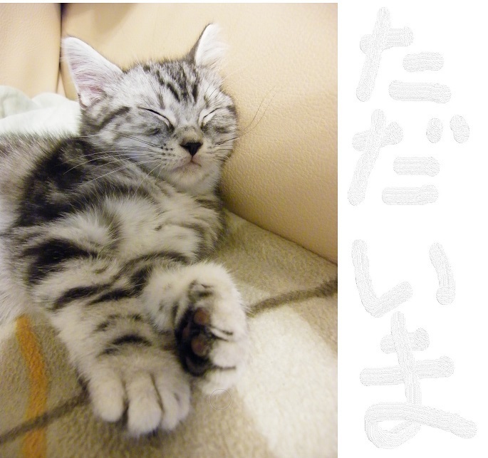くれはただいま.jpg