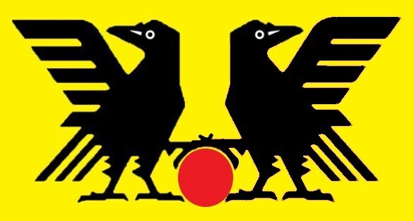 日本代表 vs 日本代表.jpg