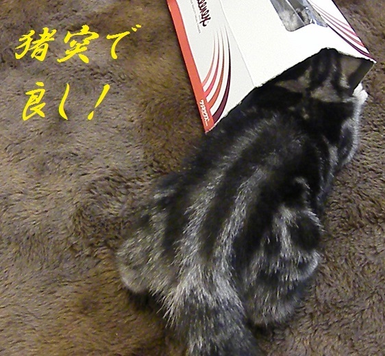 z99900kure.JPG